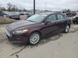 2013 Ford Fusion SE Hybrid en venta en Fort Wayne, IN