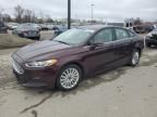 2013 Ford Fusion SE Hybrid