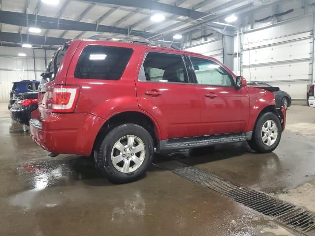 2010 Ford Escape Limited