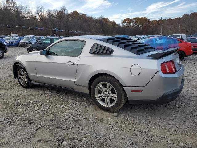 2010 Ford Mustang