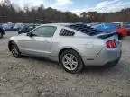 2010 Ford Mustang