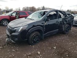 Salvage cars for sale at Chalfont, PA auction: 2023 Subaru Forester Wilderness