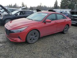 Salvage cars for sale at Graham, WA auction: 2021 Hyundai Elantra SEL