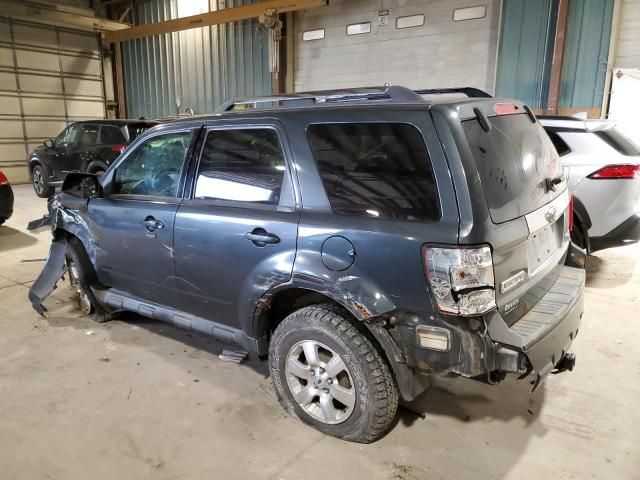 2009 Ford Escape Limited