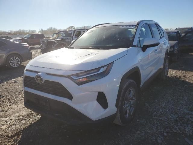 2024 Toyota Rav4 XLE