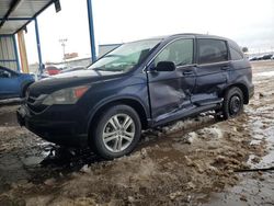 Salvage cars for sale at Colorado Springs, CO auction: 2010 Honda CR-V EXL