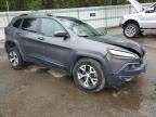 2018 Jeep Cherokee Trailhawk