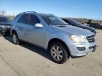 2007 Mercedes-Benz ML 350