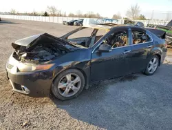 2012 Acura TSX Tech en venta en London, ON