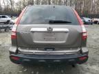 2009 Honda CR-V EX