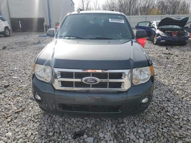 2009 Ford Escape XLT