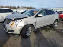 Cadillac SRX salvage cars for sale: 2011 Cadillac SRX Luxury Collection