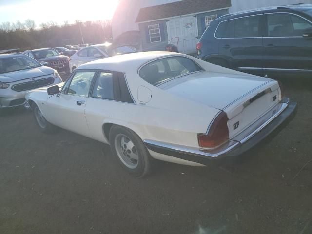 1982 Jaguar XJS