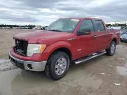 Ford Vehiculos salvage en venta: 2011 Ford F150 Supercrew