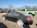 2008 Nissan Maxima SE