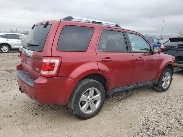 2012 Ford Escape Limited