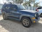 2005 Jeep Liberty Renegade