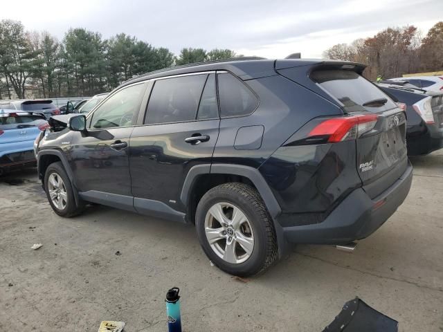 2019 Toyota Rav4 XLE