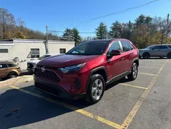 Toyota salvage cars for sale: 2023 Toyota Rav4 XLE