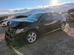 Salvage cars for sale at Magna, UT auction: 2011 Toyota Camry Base