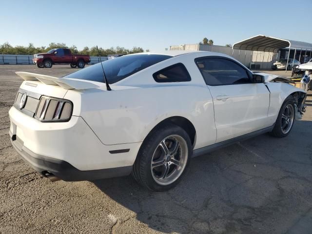 2010 Ford Mustang