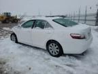 2008 Toyota Camry Hybrid