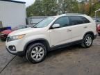 2011 KIA Sorento Base