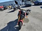 2019 Honda Grom 125