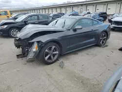 Salvage cars for sale at Louisville, KY auction: 2016 Ford Mustang