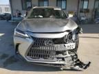 2023 Lexus NX 250