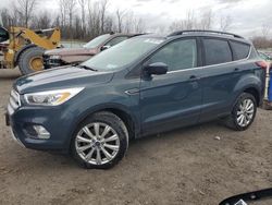 Hail Damaged Cars for sale at auction: 2019 Ford Escape SEL