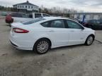 2015 Ford Fusion SE Hybrid