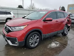 2021 Honda CR-V EX en venta en Littleton, CO