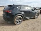 2020 Lexus NX 300 F Sport