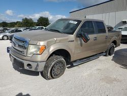 Ford salvage cars for sale: 2013 Ford F150 Supercrew