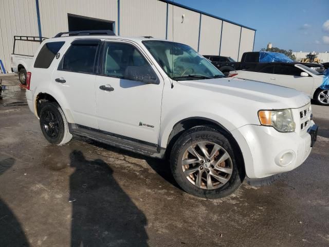 2010 Ford Escape Hybrid