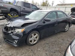 Toyota salvage cars for sale: 2013 Toyota Camry L