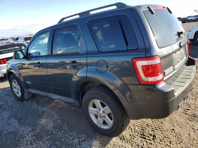 2008 Ford Escape HEV