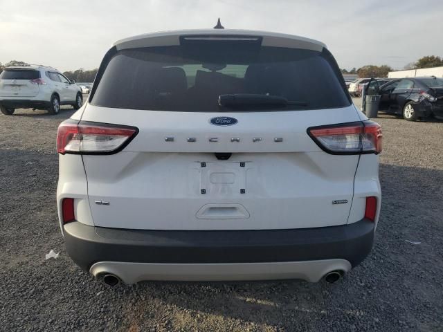 2021 Ford Escape SE