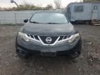 2011 Nissan Murano Crosscabriolet