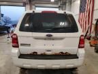 2011 Ford Escape XLS