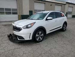 KIA Niro salvage cars for sale: 2017 KIA Niro FE