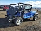 1995 Jeep Wrangler / YJ S