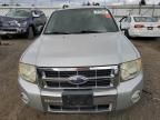 2008 Ford Escape Limited