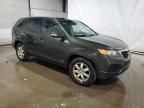 2011 KIA Sorento Base