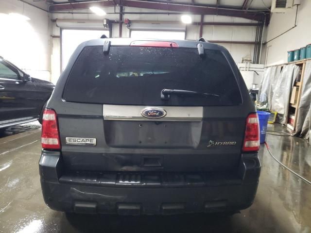 2010 Ford Escape Hybrid