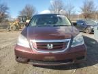 2008 Honda Odyssey EXL