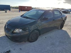 Salvage cars for sale at Arcadia, FL auction: 2010 Toyota Corolla Base