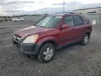 2002 Honda CR-V EX