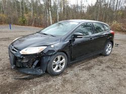 Ford Vehiculos salvage en venta: 2013 Ford Focus SE